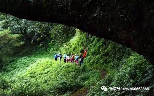 数学算术题目